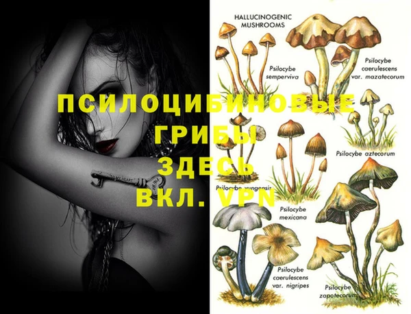 первитин Верхний Тагил