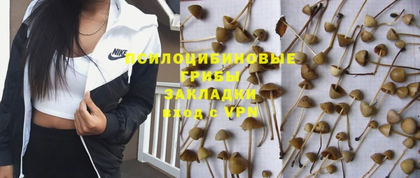 первитин Верхний Тагил