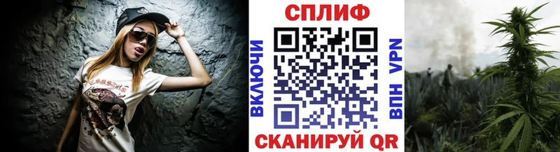 Конопля индика  Каспийск 